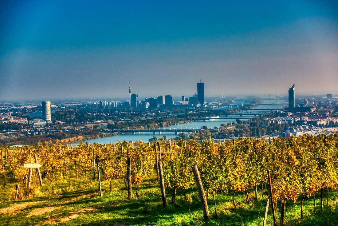 Wanderung BlicküberWien Brandauer 2019-10--ComForEn-cb-29