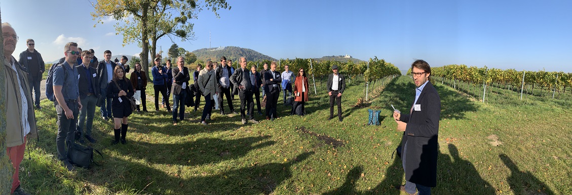 Wanderung Panorama 20191014_iOS