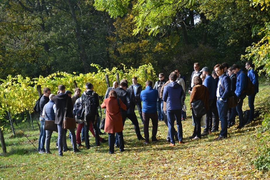 Wanderung Reichel Wien Energie